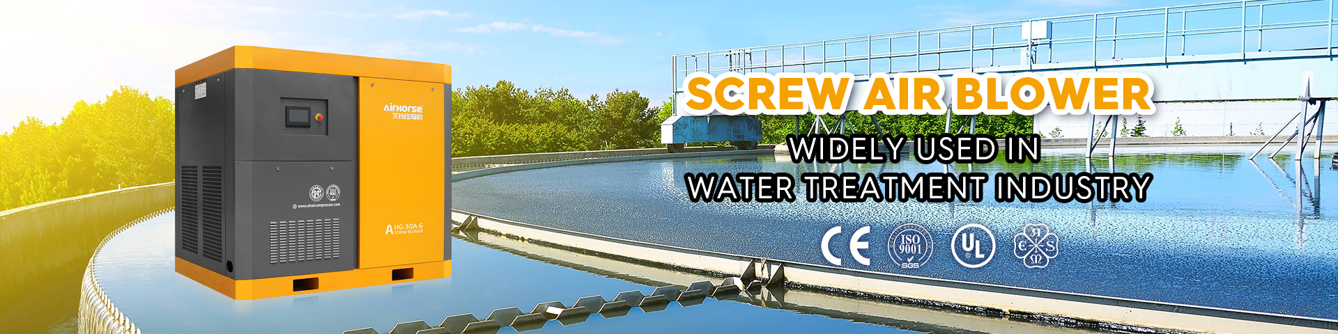 (English)广告标题