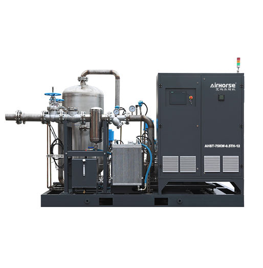 Screw Steam Compressor