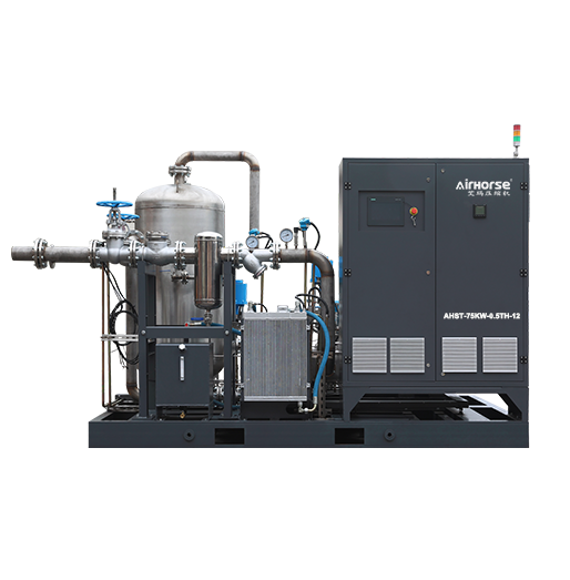 Screw Steam Compressor