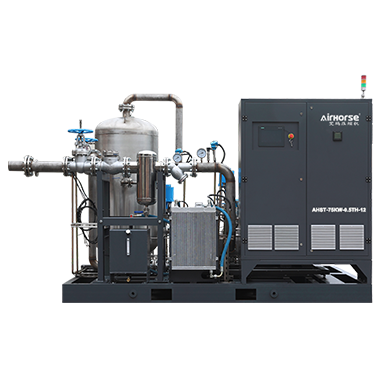 Screw Steam Compressor